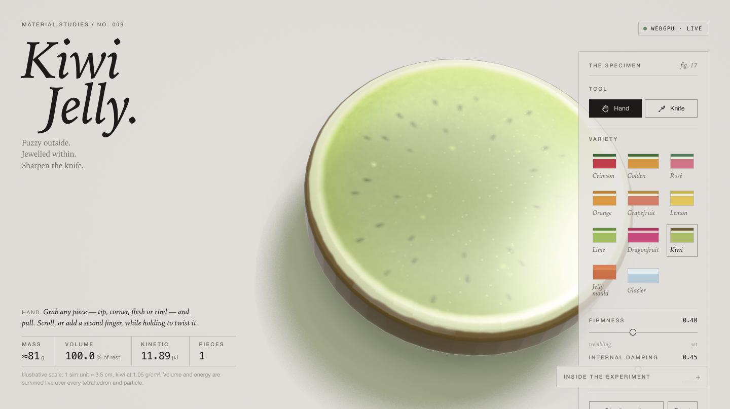 Kiwi Jelly disc slice under hardware WebGPU: black seed ring, pale core, fig. 17
